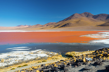 Sticker - Laguna Colorada. Mountains of Bolivia, altiplano. South America.