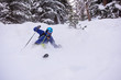© .shock - freeride skier skiing downhill