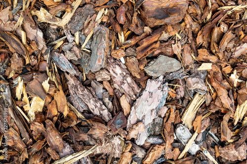 Fotografie, Obraz Wood chips or sawdust texture background, background pattern
