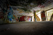 © valentidaze - Graffiti and views of the abandoned city of Consonno (Lecco, Italy).