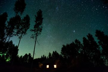 Wall Mural - stars and green aurora borealis above treetops and country house.