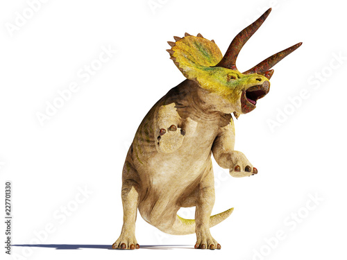 Fotografía Triceratops horridus dinosaur in action (3d illustration isolated with shadow on