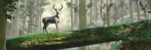Deer Standing On Fallen Tree Bridge In Beautiful Foggy Forest Landscape