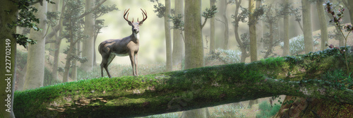 Dekoracja na wymiar  jelen-stojacy-na-moscie-zwalonego-drzewa-w-pieknym-mglistym-lesnym-krajobrazie