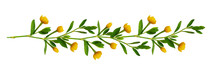 Line Arrangement With Fresh Leaves And Yellow Flowers
