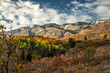 autumn  aspen leaves in forest below mountain rock face with clouds