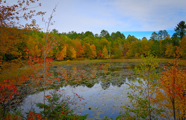 Wall Mural - Autumn forest lake reflection landscape in beautiful northern Minnesota scene