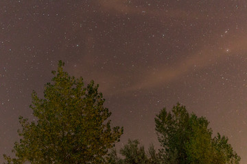 Wall Mural - landscape of the night sky silhouettes of trees
