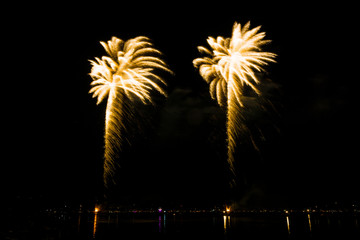 Huge palm tree firework of two explosions