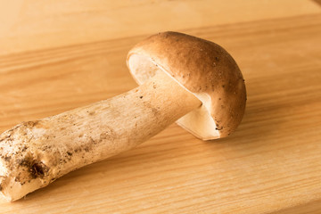 Boletus on a wooden table . Autumn. Mushroom picking