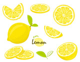 Fototapeta Pokój dzieciecy - Fresh lemon fruits, collection of vector illustrations