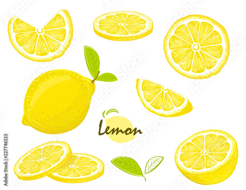 Fotografía Fresh lemon fruits, collection of vector illustrations