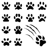 Fototapeta  - Pets paw footprint. Cat paws prints, kitten foots or dog foot print. Pet rescue logo isolated vector symbol