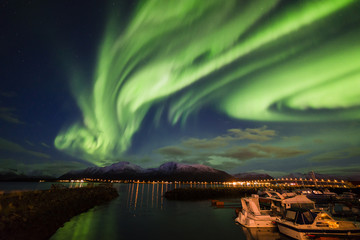 amazing view of aurora borealis ( northern lights) over norvegian sea .