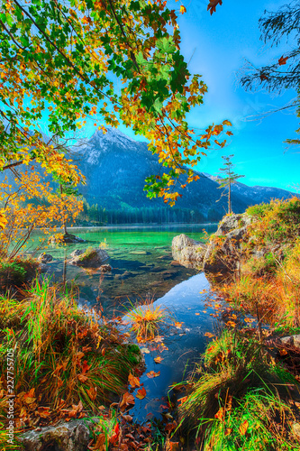 Dekoracja na wymiar  fantastyczny-jesienny-wschod-slonca-nad-jeziorem-hintersee-piekna-scena-drzew-na-skalnej-wyspie