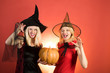 © Volodymyr - Two sexy Halloween girls with pumpkin. Best friends girls celebrates Halloween. Two stylish sexy girls best friends ready for party, over orange background. Halloween copy space. Having fun.