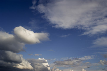 Cumulus type cloudy sky background.