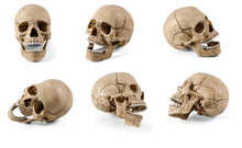 Six Plastic Human Skulls With Open Jaws At Various Angles On White Background