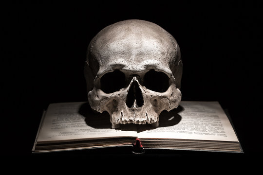 Wall Mural -  - Human skull on old open book on black background. Dramatic concept.