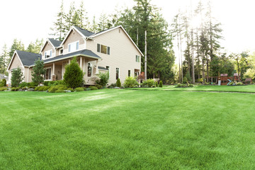 house with lawn and garden
