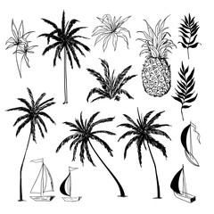 Wall Mural - Set of  vector  beautiful hand drawing artistic tropical and leves with exotic forest.