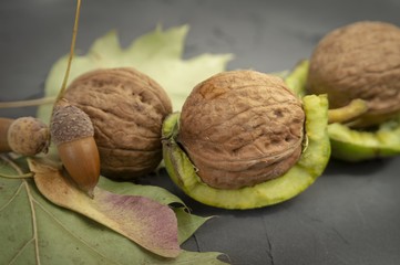 Fresh harvest of walnuts in a green shell and peel