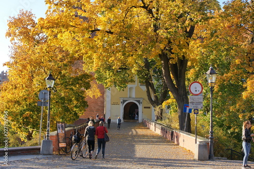 Obrazy Olsztyn  olsztyn-zamek