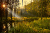 Fototapeta Krajobraz - jesień na Mazurach