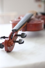 violin on white background