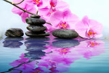 Fototapeta Dziecięca - Black spa stones and pink orchids flowers with reflection in water.