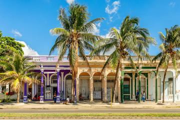 Wall Mural - Old Spanish colonial colorful houses with palms in the foregroun