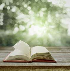 Wall Mural - Open book on table and spring scene