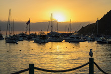Sunrise Over Harbor With Boats And Flag And Seagull In Profile On Post