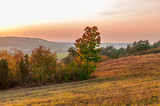 Fototapeta Na ścianę - Jesienny zachód słońca nad polaną, Chęciny