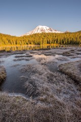 Wall Mural - A cold autumn morning reflection at Mount Rainier