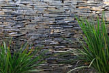 Fototapeta Do akwarium - A calming waterfall over a slate wall with framing palm trees and plants. Background with copy space