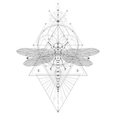 Wall Mural - vector illustration with hand drawn dragonfly and sacred geometric symbol on white background. abstr