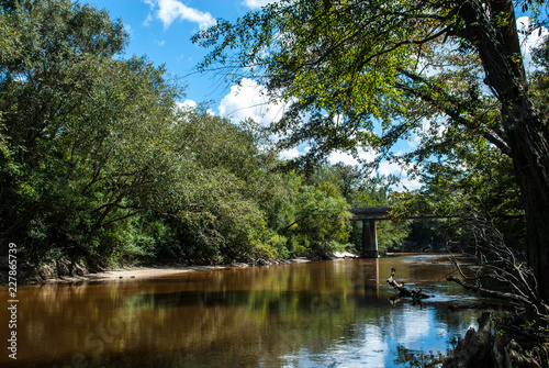 The Wilderness Of The Deep South This River That Winds Through The Forest Areas Of Mississippi Is A Peaceful Place For People To Fish And Animals To Live Stock Photo Adobe The Wilderness Of The Deep South This River That Winds Through The Forest Areas Of Mississippi Is A Peaceful Place For People To Fish And Animals To Live Stock Photo Adobe