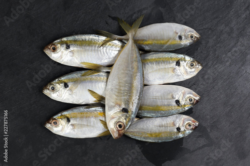 Fotografija Raw fresh small yellow striped tervally banded slender fish