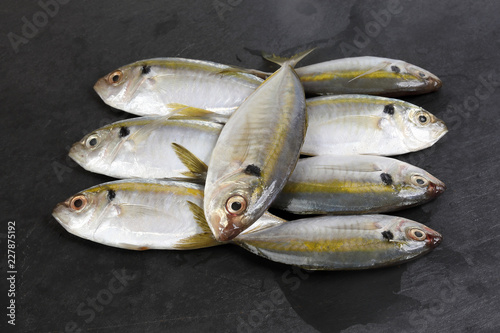 Fotografia, Obraz Raw fresh small yellow striped tervally banded slender fish