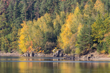 Detail of autumn coloful trees with water, Czech landscape