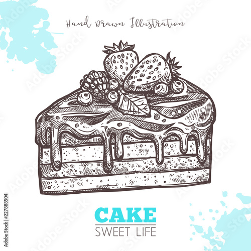 Sweet Piece Of Cake With Cream And Berries Sketch Hand Drawn Vector Chocolate Birthday Cake Stock Vector Adobe Stock