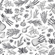 Vector hand drawn herbs and spices background or pattern illustration. Spice ingredient pattern, aroma herbal natural drawing