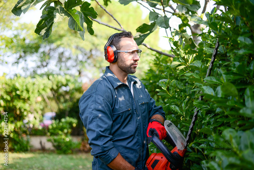 Fotomural handsome young man gardener trimming hedgerow in a garden park outdoor