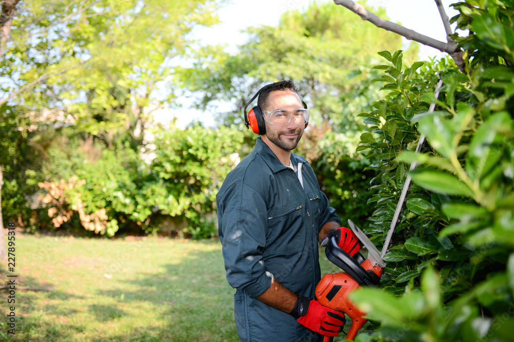 handsome young man gardener trimming hedgerow in a garden park outdoor