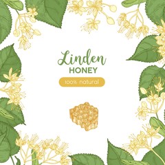 Poster - Square banner template decorated with honeycomb and frame or border made of linden flowers, leaves. Colorful hand drawn vector illustration in elegant realistic style for honey product advertisement.