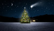 canvas print picture - Weihnachtsbaum im Wald