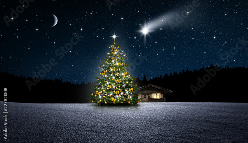 Foto-Schiebegardine ohne Schienensystem - Weihnachtsbaum im Wald (von by-studio)