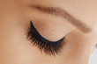 © Olesia - Female eye with extreme long false eyelashes and black liner. Eyelash extensions, make-up, cosmetics, beauty