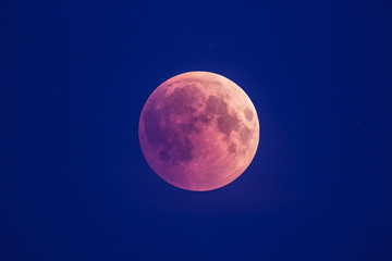 Wall Mural - super bloody moon, beginning of full eclipse phase against blue starry sky background
